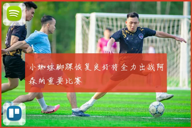 小蜘蛛脚踝恢复良好将全力出战阿森纳重要比赛