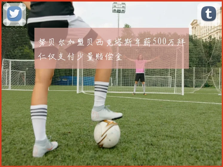 努贝尔加盟贝西克塔斯年薪500万拜仁仅支付少量赔偿金